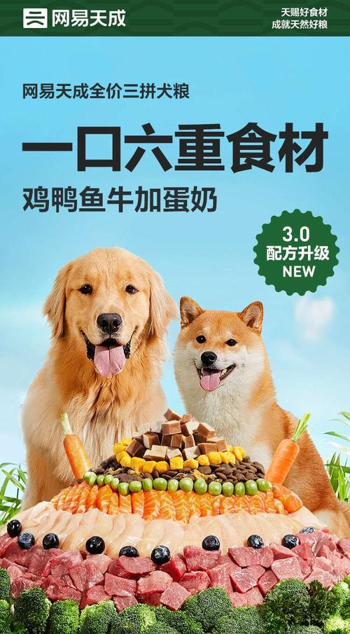 如何选择适合幼犬的狗粮（品牌推荐和喂养时间）