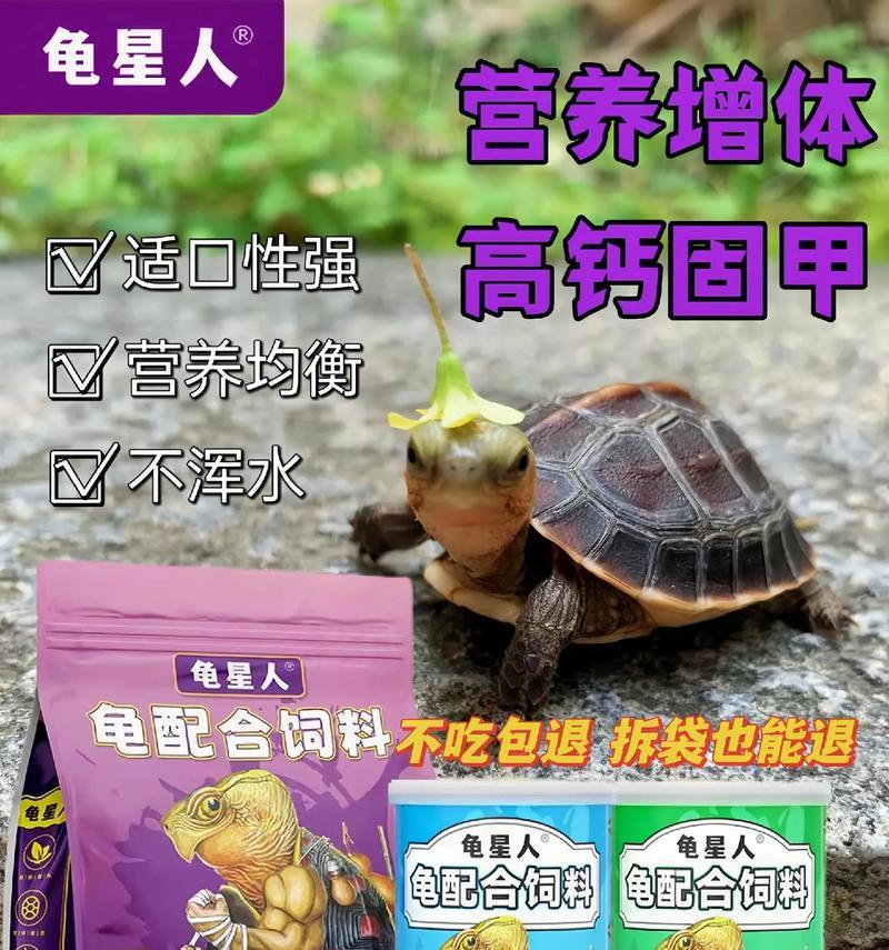 龟的健康之道（保护龟的身心健康，为其提供维生素A和维生素D）