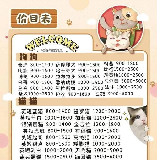 博美犬价格分析及影响因素（从毛色、地区看博美犬价格的差异化）
