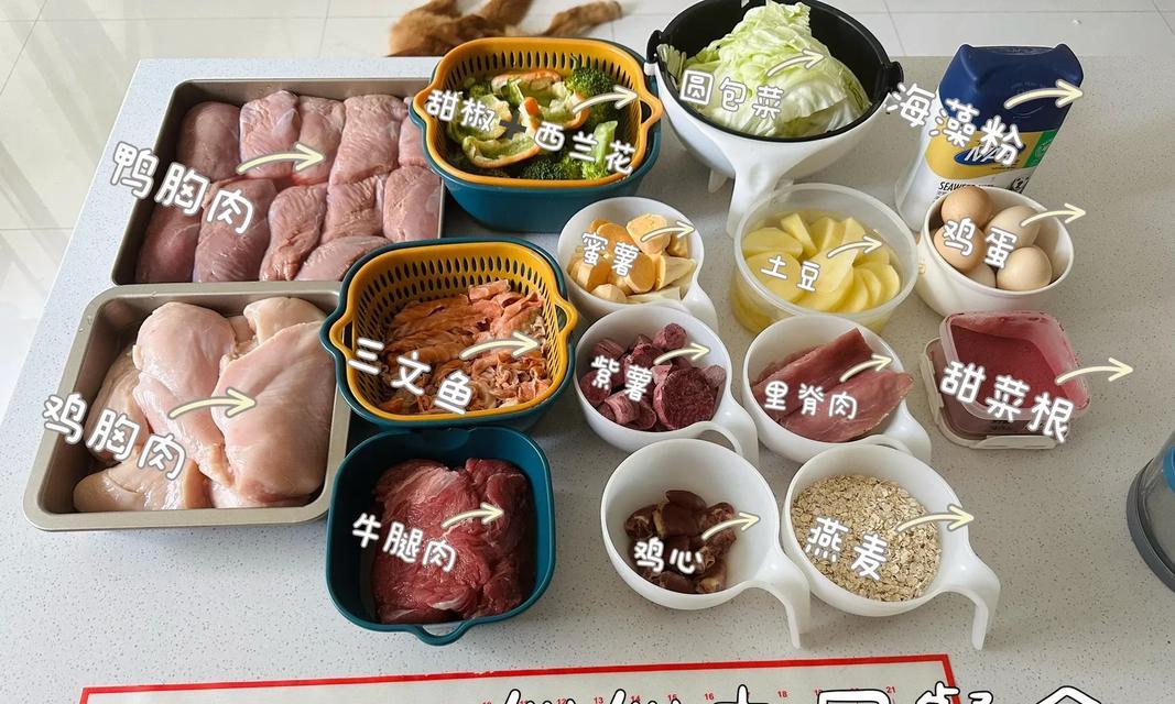 狗粮饮食量合适的重要性及建议（如何确定狗狗每天合适的狗粮摄入量）