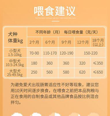 如何科学合理地喂养泰迪狗粮（以个体需求为基准，制定合适的饮食计划）