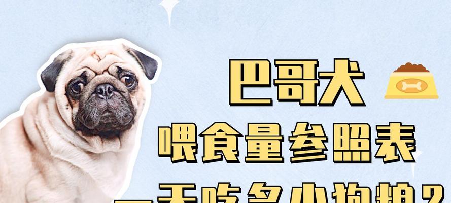 幼犬何时开始吃狗粮？（小狗崽一岁多才能开始吃狗粮吗？）