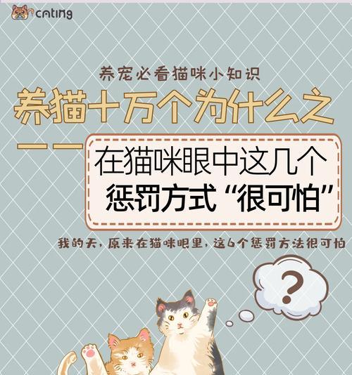 以温和方式惩罚猫咪，建立良好行为习惯（7个合理方式，让你的猫咪明白规矩并改正不良行为）