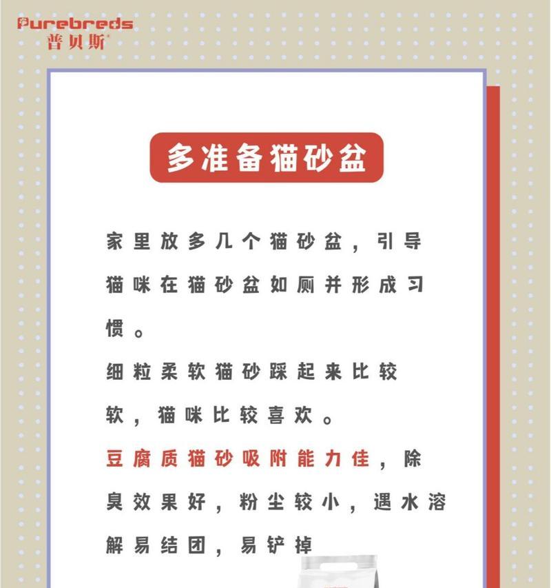 教你正确训练猫咪大小便的技巧（培养猫咪规律大小便习惯的关键方法）