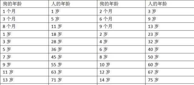 狗狗的饮水量和缺水判断（了解狗狗的水分需求，掌握缺水的迹象）