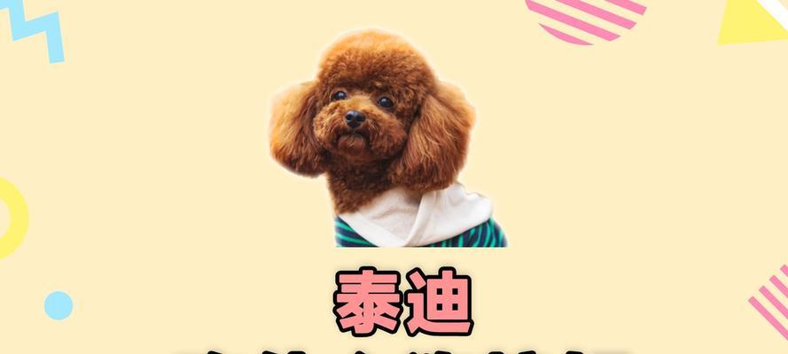 秋田犬适合的狗粮有哪些？（为宠爱秋田提供健康饮食的秘诀）