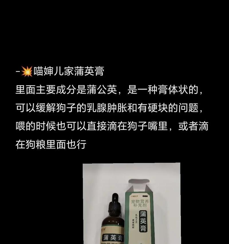 给哺乳期狗狗提供的必需品（满足狗狗在哺乳期所需的关键物品）