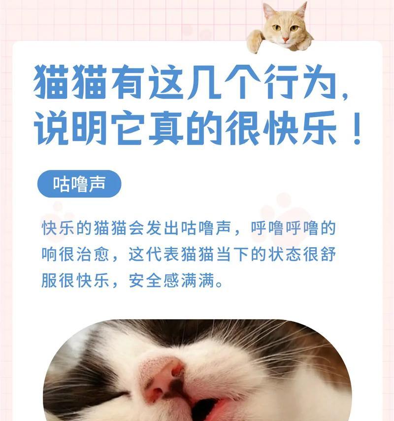 猫咪呼呼声的奥秘（揭开猫咪呼呼声的背后原因）