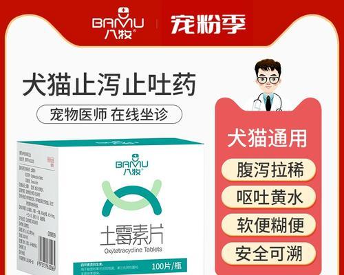 狗狗肠道炎的预防与治疗（针对狗狗肠道炎的常见治疗方法及注意事项）