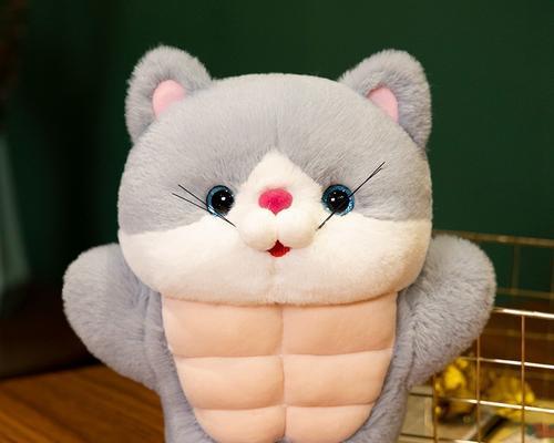 挑剔猫咪（揭秘猫咪独特的玩具偏好和行为习惯）