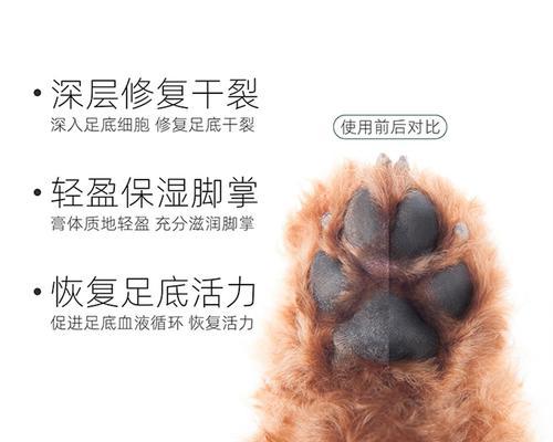 关于狗狗脚掌干燥的原因及解决方法（如何有效保湿狗狗的脚掌？脚掌保湿液是最佳选择！）