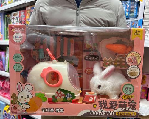 女孩子养什么宠物好？（选择合适的宠物陪伴生活）