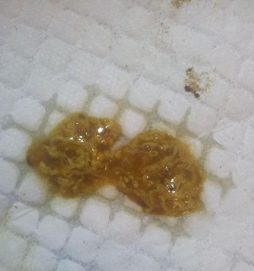 狗狗拉稀恶臭的原因分析（解读狗狗拉稀原因，科学护理宠物健康）