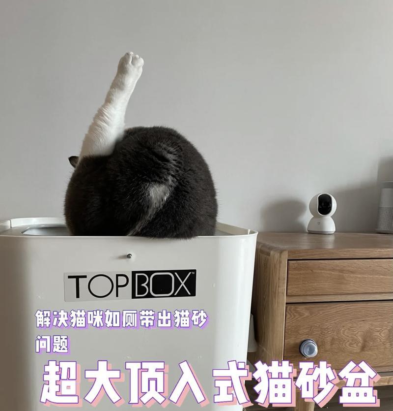 如何选择适合的猫砂盆（关键因素与推荐品牌）