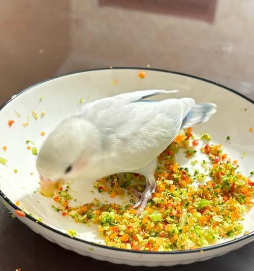小鹦鹉的饮食习惯（一月之间的小鹦鹉饮食摄入量和种类）