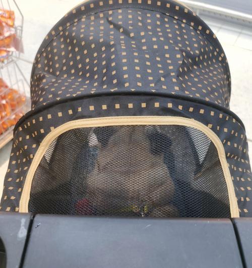 逛超市不再愁，带狗狗来！（探寻哪些超市对狗狗友好）