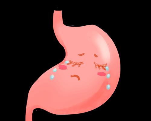日常恶心的原因分析（探寻每日恶心的根源及应对方法）