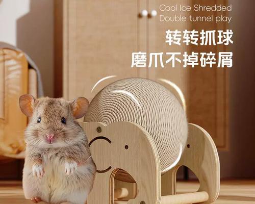 兔子如何磨爪子（以什么为磨爪工具？为什么需要磨爪？）