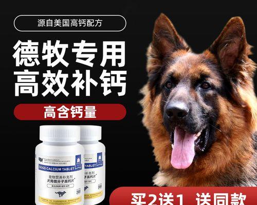 老年狗狗的钙片选择指南（老年狗狗的骨骼健康需求及钙片补充）