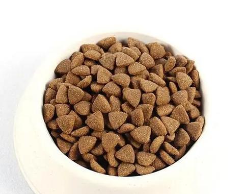 狗狗被撞后应吃哪些食物？（了解适合被撞狗狗的饮食需求，帮助它康复更快）