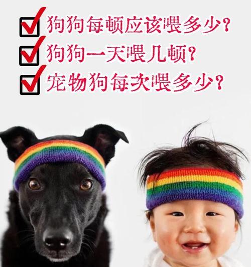 合适的时间是什么？——探讨狗狗一日两餐的最佳时间安排（为了狗狗的健康，不可忽视的饮食时间）