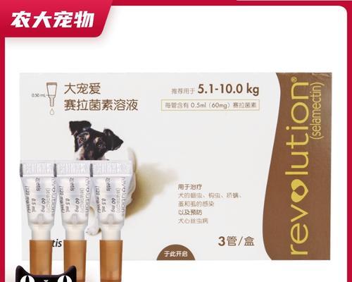 贵宾狗咳嗽（贵宾狗咳嗽常见的药物治疗方法及注意事项）