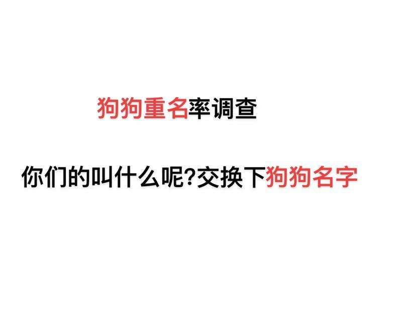 如何给金毛犬起一个好听的名字（15个好听的金毛犬名字推荐）