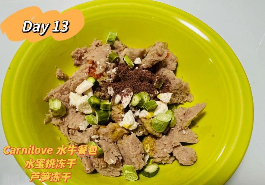 泰迪犬的健康饮食指南（营养均衡的饮食，让泰迪更健康）