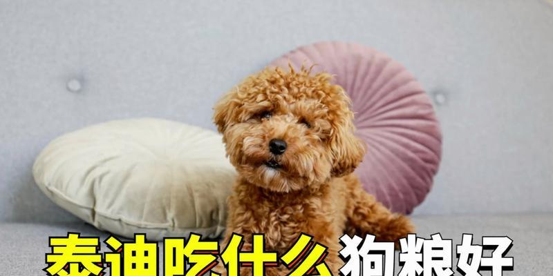 一个月的泰迪小狗该如何科学饮食？