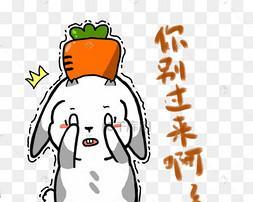 兔子受惊吓的症状及应对方法