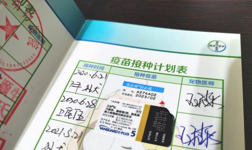狗疫苗选购指南——了解哪个牌子最佳（权威推荐，为爱犬提供最佳保护）
