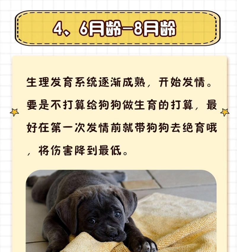 狗狗感染的原因及预防措施（揭开狗狗感染的谜团，保护宠物健康）