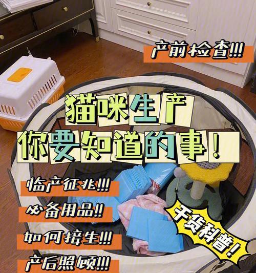 如何为猫的生产做好准备（关于猫咪生产过程中必备的物品和准备工作）