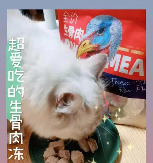 猫为什么可以吃发霉的食物而不受害？（揭秘猫咪超强的抵抗发霉食物能力）