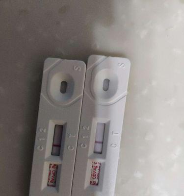细小病毒（宠物狗感染细小疾病的症状、传播途径及预防措施）