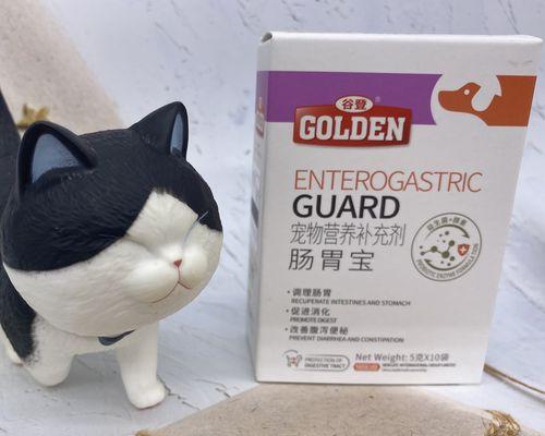 肠胃宝宠物狗的选择指南（了解肠胃宝宠物狗什么牌子适合你的萌宠？）