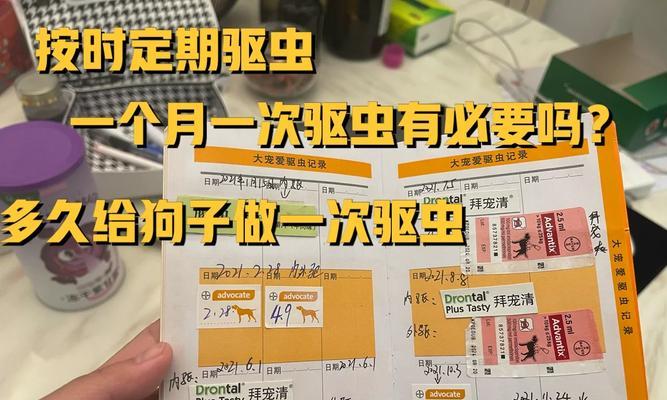 以蜱虫狗什么时候驱虫？（宠物养护知识分享）