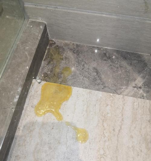 猫咪吐里面的黄色小颗粒是什么？（揭开猫咪吐黄色小颗粒的谜团）