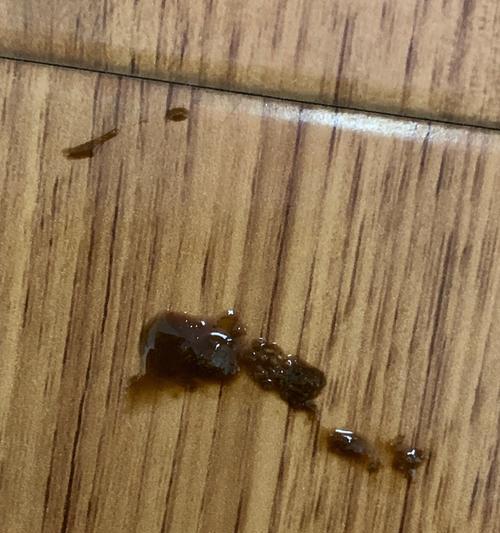 兔子拉肚子该吃什么食物？（有效调理兔子肠胃的食物推荐）