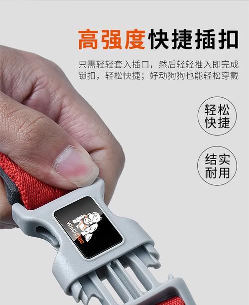 狗狗项圈扣（如何选择适合的狗狗项圈扣，让宠物更安全舒适）
