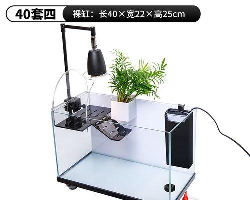 鱼龟混养（以什么鱼适合与鱼龟混养？一探养殖技巧和要点）
