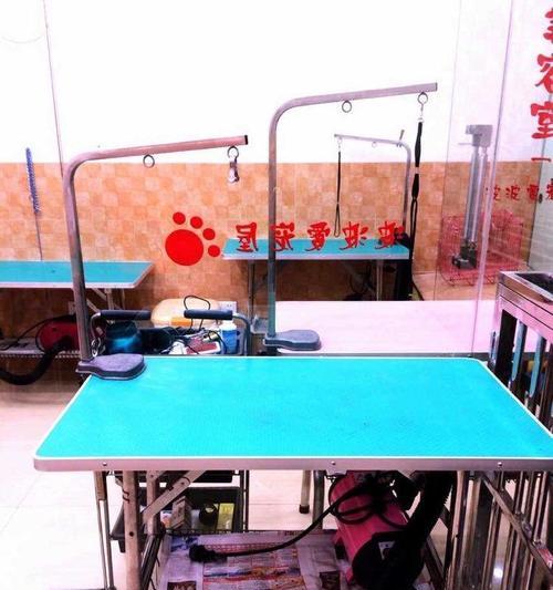 宠物店寄养所需证明及注意事项（了解宠物店寄养要求，让宠物得到贴心照料）