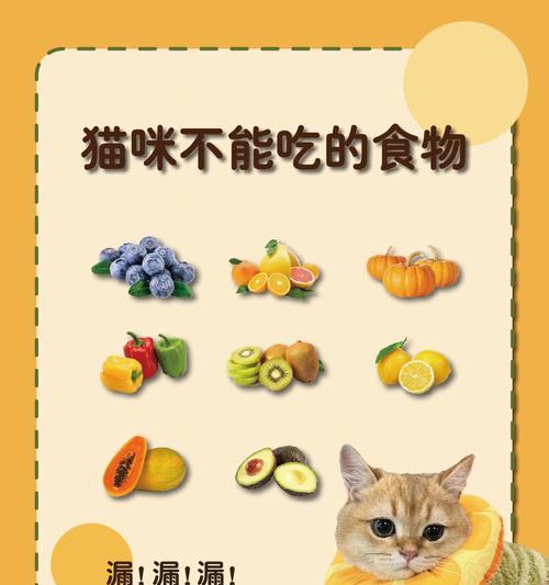 新生猫的饮食指南（了解刚出生猫的饮食需求及如何满足）