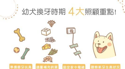 狗的换牙时期及注意事项（了解狗的换牙时期，给它们提供正确的照顾和食物）