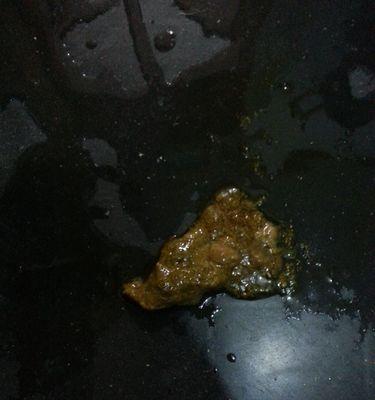 金毛拉稀不吃饭的原因及应对方法（揭秘金毛拉稀不吃饭的原因，助你解决犬友们的困扰）