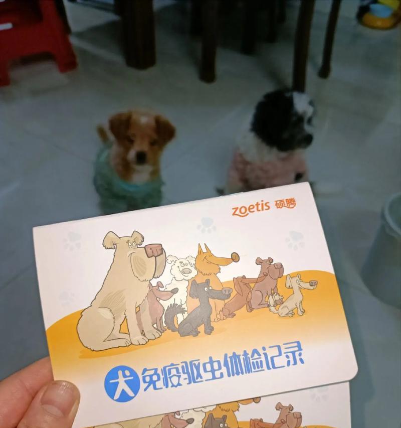 狗一年后打什么疫苗？（了解狗疫苗的常规接种计划）