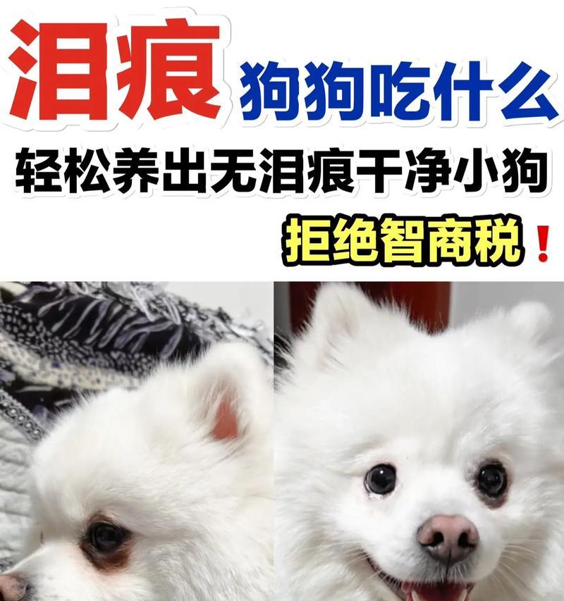 选择合适的狗粮品牌，轻松解决狗狗泪痕问题（泪痕问题不严重？这些狗粮品牌让你的宠物焕然一新）