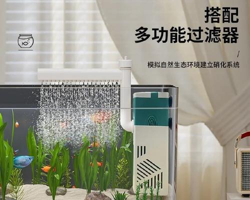 如何正确养鱼缸中的鱼（探讨鱼缸养鱼的注意事项及技巧）
