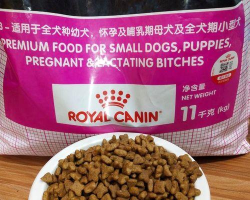 泰迪狗狗怀孕的注意事项（养泰迪狗狗的人必看！了解泰迪狗狗的怀孕需要注意的事项）