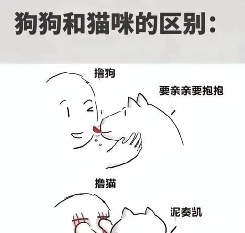 狗为什么会用头拱人的屁股？（探讨狗用头拱人屁股的原因和意义）